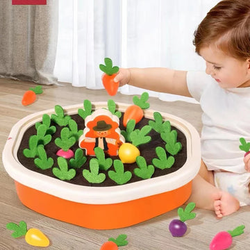 Kids Shape Sorting Toy