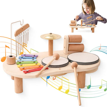 Montessori Musical Toy Set